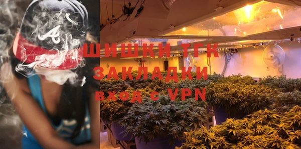 mdpv Бородино