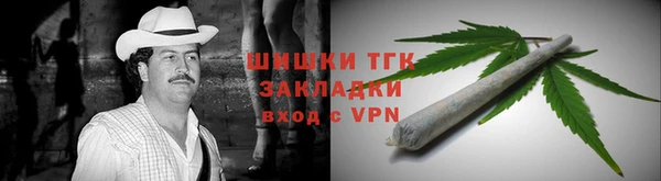дживик Бронницы