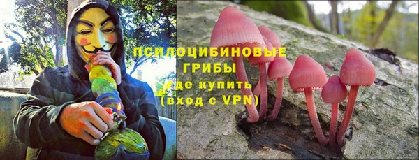 дживик Бронницы