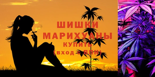 mdpv Белокуриха