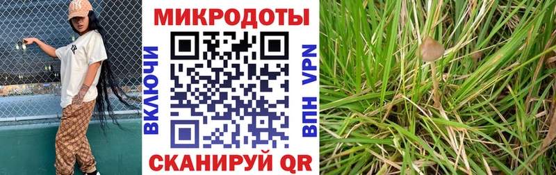 Галлюциногенные грибы Cubensis  наркота  маркетплейс Telegram  Верхнеуральск 
